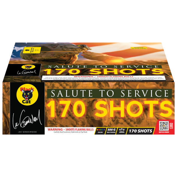 SALUTE TO SERVICE